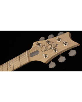 Електрогітара PRS SILVER SKY LIMITED EDITION (Lunar Ice)-foto9