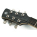 Електрогітара YAMAHA REVSTAR RSP20CR (Brushed Black)