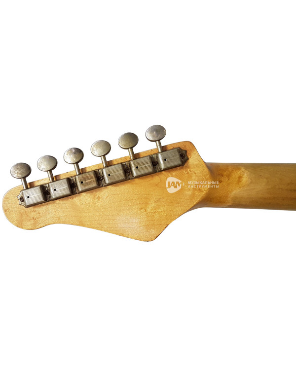 Електрогітара FRIEDMAN VINTAGE-T (Shoreline Gold)