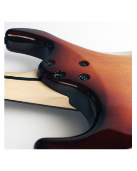 Електрогітара CORT G250 (Tobacco Amber Burst)-foto2