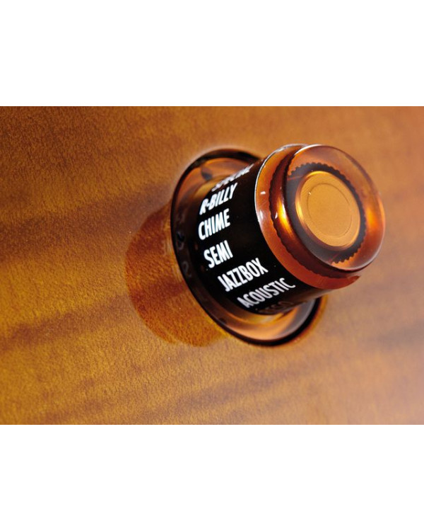 Електрогітара LINE6 JAMES TYLER VARIAX JTV-59 (TOBACCO SUNBURST)