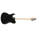 Електрогітара FUJIGEN JIL2-ASH-DE664G Iliad Dark Evolution Series (Open Pore Black)