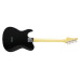 Електрогітара FUJIGEN JIL2-ASH-M Iliad J-Standard (2-Tone Sunburst)