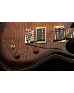 Електрогітара PRS SE 35th ANNIVERSARY CUSTOM 24 (Black Gold Burst)-foto3