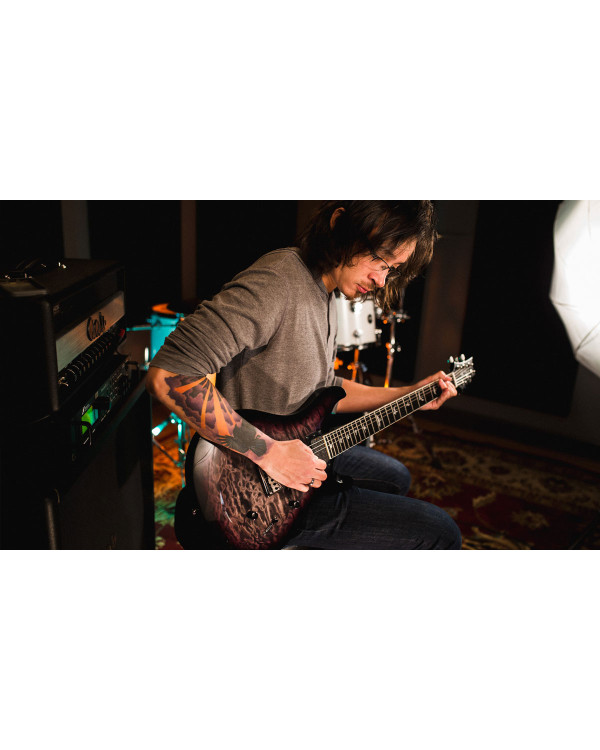 Електрогітара PRS SE Mark Holcomb