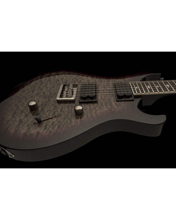 Електрогітара PRS SE Mark Holcomb