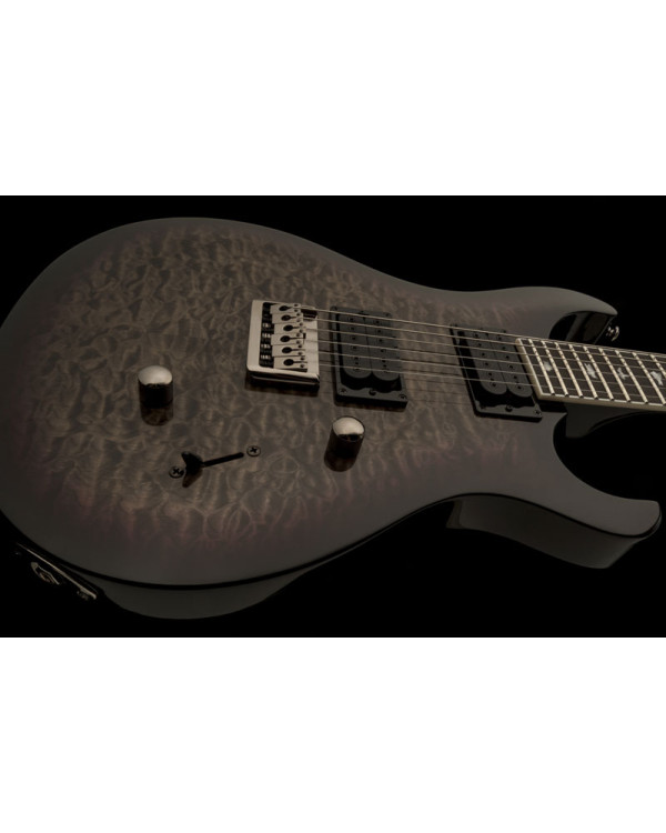 Електрогітара PRS SE Mark Holcomb