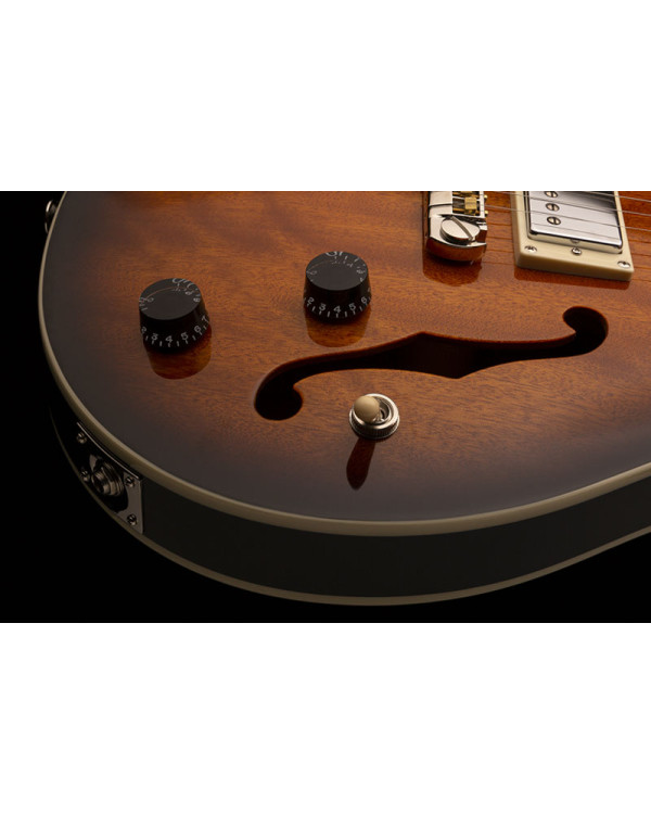 Електрогітара PRS SE Hollowbody Standard (McCarty Tobacco Sunburst) Електрогітара PRS SE Hollowbody Standard (McCarty Tobacco Sunburst)