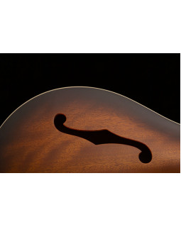Електрогітара PRS SE Hollowbody Standard (McCarty Tobacco Sunburst)-foto7