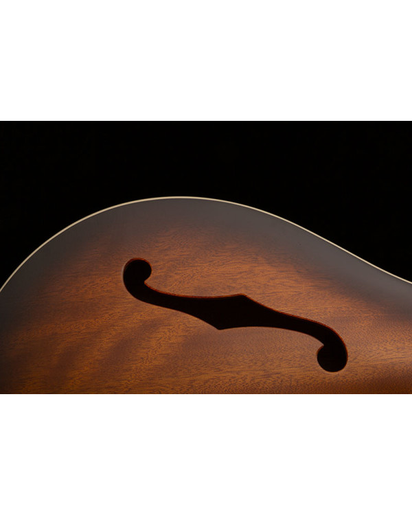 Електрогітара PRS SE Hollowbody Standard (McCarty Tobacco Sunburst) Електрогітара PRS SE Hollowbody Standard (McCarty Tobacco Sunburst)