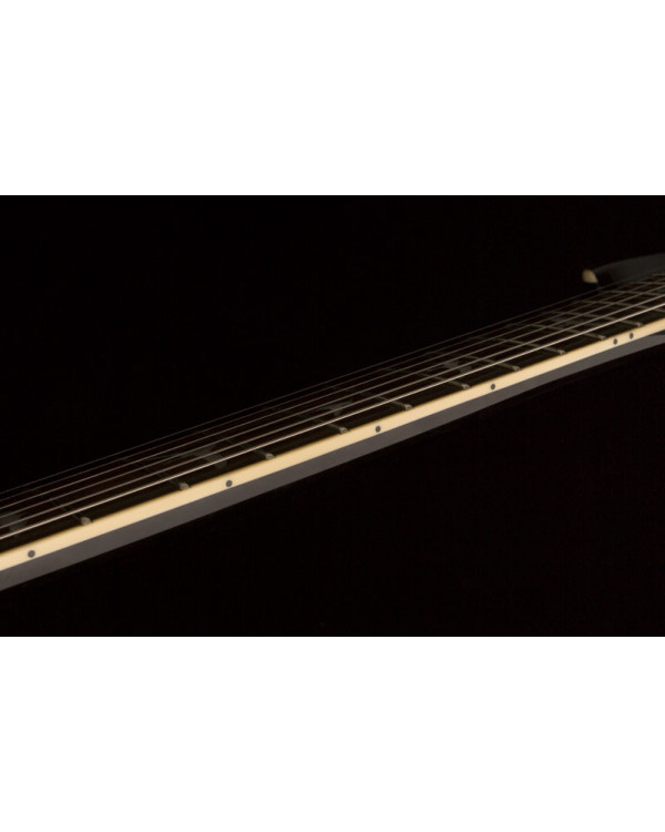 Електрогітара PRS SE Mark Tremonti Standard (Black)