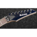 IBANEZ RG2027XL DTB Електрогітара