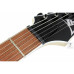 IBANEZ RG421EX BKF Електрогітара