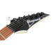 IBANEZ RG421EX BKF Електрогітара
