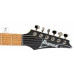 IBANEZ RG421 MOL Електрогітара