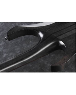 IBANEZ RGRT421 WK Електрогітара-foto4