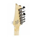 IBANEZ RG421AHM BMT Електрогітара