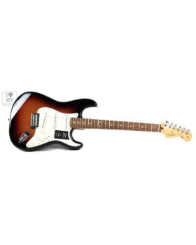 FENDER PLAYER STRATOCASTER PF 3TS Електрогітара-foto4