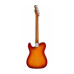FENDER PLAYER TELECASTER LTD ROASTED MAPLE SIENNA SUNBURST Електрогітара