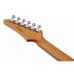 IBANEZ AZ2204NW-MGR Електрогітара