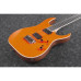 IBANEZ RGR5221-TFR Електрогітара