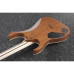 IBANEZ RGR5221-TFR Електрогітара