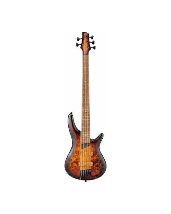 IBANEZ SR5PBLTD DEL Бас-гітара