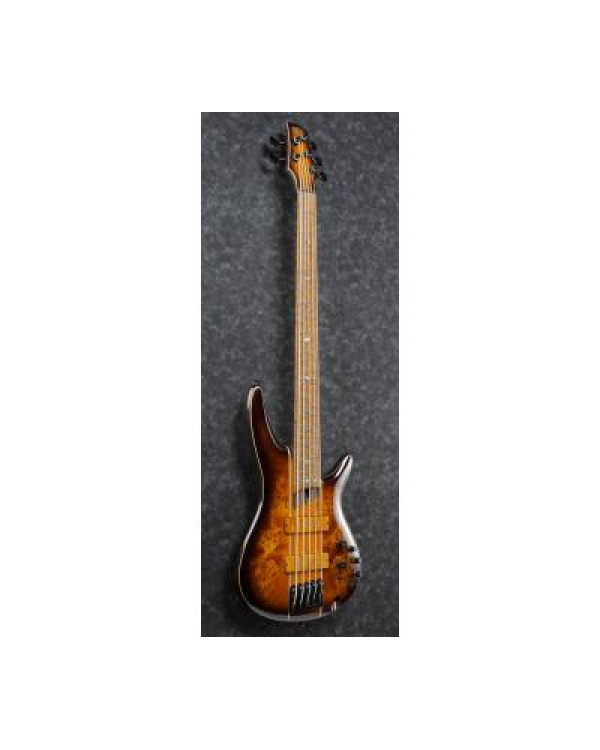 IBANEZ SR5PBLTD DEL Бас-гітара