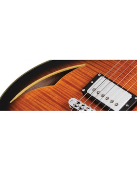 SCHECTER SOLO CUSTOM E/A DVS - Напівакустична електрогітара-foto4