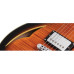SCHECTER SOLO CUSTOM E/A DVS - Напівакустична електрогітара