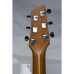 GODIN 021178 - LG SIGNATURE Trans Blue Flame AAA (Made in Canada) - Електрична гітара