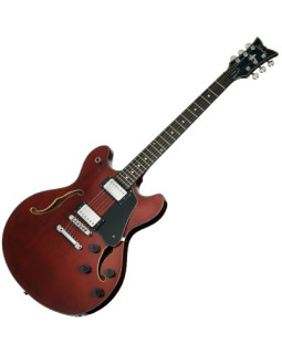 SCHECTER CORSAIR T.O.M. GWAL - Напівакустична електрогітара
