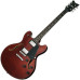 SCHECTER CORSAIR T.O.M. GWAL - Напівакустична електрогітара