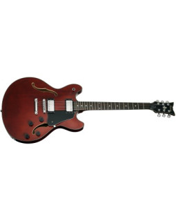 SCHECTER CORSAIR T.O.M. GWAL - Напівакустична електрогітара-foto2