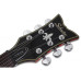 SCHECTER CORSAIR T.O.M. GWAL - Напівакустична електрогітара