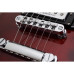 SCHECTER CORSAIR T.O.M. GWAL - Напівакустична електрогітара