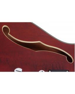 SCHECTER CORSAIR T.O.M. GWAL - Напівакустична електрогітара-foto5