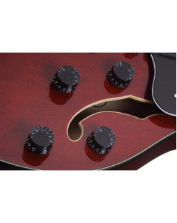 SCHECTER CORSAIR T.O.M. GWAL - Напівакустична електрогітара-foto7
