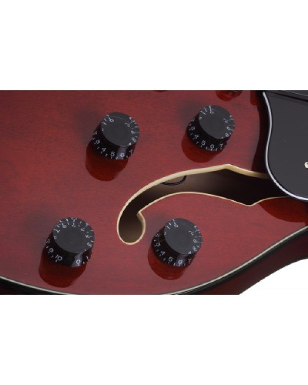 SCHECTER CORSAIR T.O.M. GWAL - Напівакустична електрогітара SCHECTER CORSAIR T.O.M. GWAL - Напівакустична електрогітара