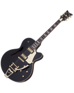 SCHECTER COUPE G.BLK - напівакустична електрогітара