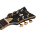 SCHECTER COUPE G.BLK - напівакустична електрогітара