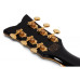 SCHECTER COUPE G.BLK - напівакустична електрогітара