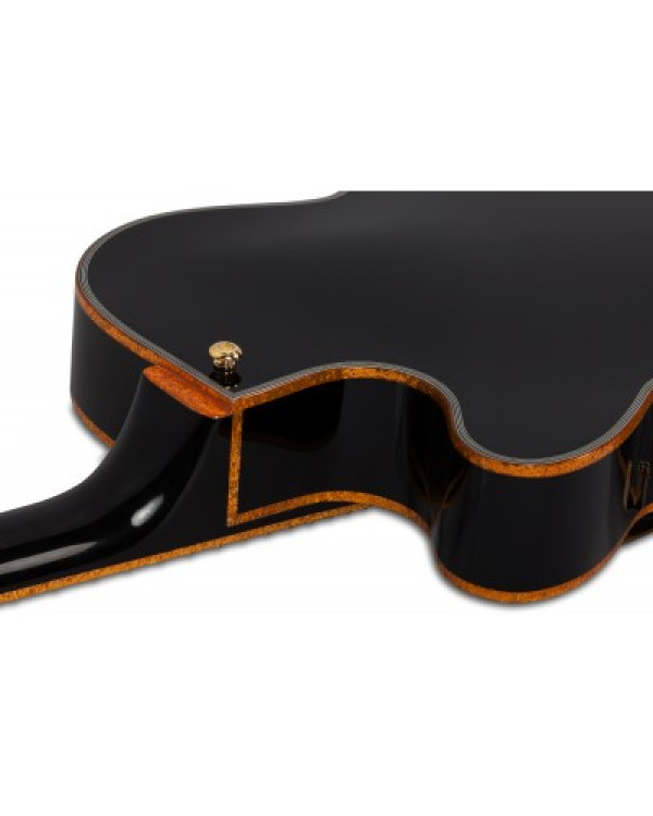 SCHECTER COUPE G.BLK - напівакустична електрогітара
