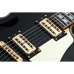 SCHECTER COUPE G.BLK - напівакустична електрогітара