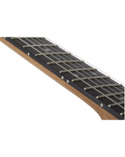 SCHECTER PT Pro TPB - Електрична гітара-foto12