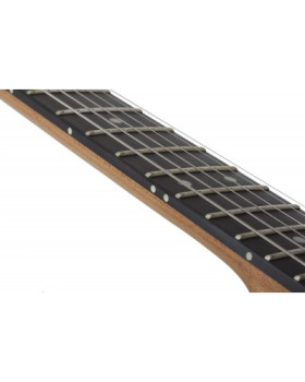 SCHECTER PT Pro TPB - Електрична гітара-foto12