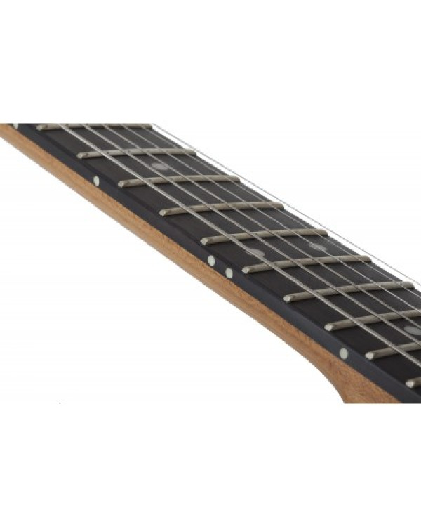 SCHECTER PT Pro TPB - Електрична гітара
