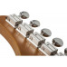 SCHECTER PT SPECIAL PBP - Електрична гітара