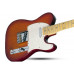 SCHECTER PT STANDARD M/M - Електрична гітара