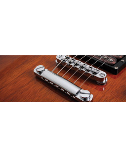 SCHECTER Shaun Morgan Signature 3TSB - Електрична гітара-foto4